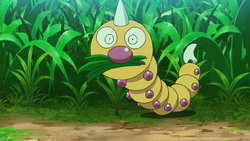 Vermilion Forest Weedle.png
