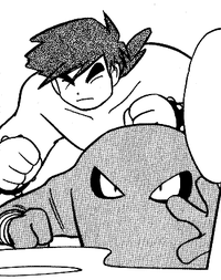 Bruno's Onix - Bulbapedia, the community-driven Pokémon encyclopedia