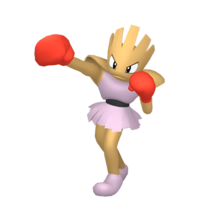 Kiyo's Hitmonchan, International Pokédex Wiki