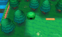 Secret Spot Route 120 3.png