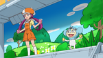 Team Rocket Disguise XY013.png