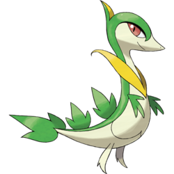 snivy pokemon evolution chart