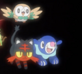 The Alola region starter Pokémon in the anime