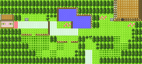 Johto Route 31, PokeMMO Wiki