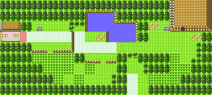 Johto Route 31 GSC.png