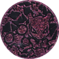 CR Purple Mewtwo Coin.png