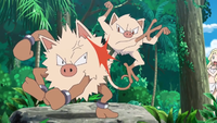 Mankey Primeape SM012.png