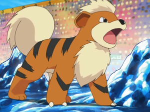 Morrison Growlithe.png