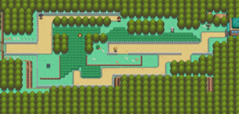 Johto Route 36 - Bulbapedia, the community-driven Pokémon encyclopedia
