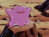 Drake's Ditto