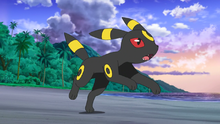 Gladion Umbreon.png