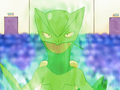 Ash Sceptile Overgrow.png