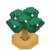 PersimTreeBuddingVI XY.png