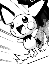 Hau's Pichu