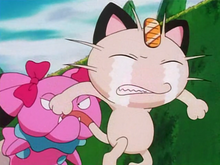 How Meowth became a Human! - always the best content for you