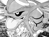 Aster's Rayquaza