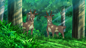 Summer Sawsbuck anime.png