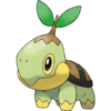 Turtwig