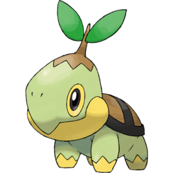 Turtwig