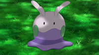 Ash Goomy.png