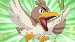 Farfetch'd anime.png