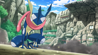 Ippei's Greninja