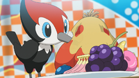 Pokémon Grand Eating Contest Pikipek.png