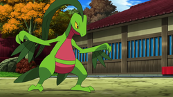 Grovyle (Pokémon) - Bulbapedia, the community-driven Pokémon encyclopedia