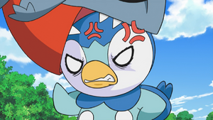 Dawn Piplup angry.png