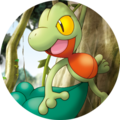 Treecko (profile icon)