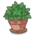 DW Leafy Plant.png