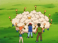 Ellen's Mareep