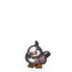 Chatot (Pokémon) - Bulbapedia, The Community-driven Pokémon Encyclopedia