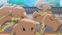 Karate Master's Hitmonlee (multiple)