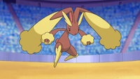 Ash's Lopunny