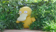 What's on Your Mind, Psyduck?