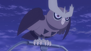 RVT Noctowl.png
