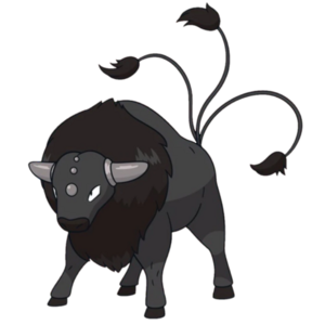 0128Tauros-Paldea Combat Dream.png