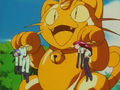 Meowth of the Bouty Guard.png