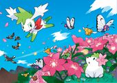 Land and Sky Form Shaymin in the Flower Paradise