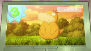 Psyduck anime.png