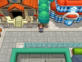 The Trainers' School and a Pokémon Center