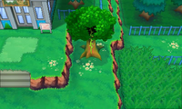 Secret Spot Route 121 2.png