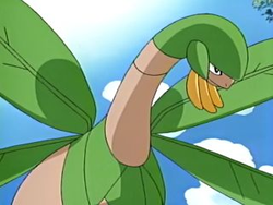 Camomile Island Tropius.png