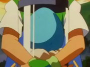 Phanpy Egg.png