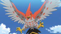 Ash's Talonflame