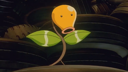 Big Town Bellsprout.png