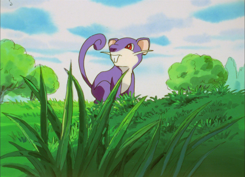 File:Kanto Route 1 Rattata.png