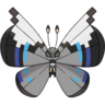 666Vivillon-Monsoon.png