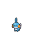 Mudkip